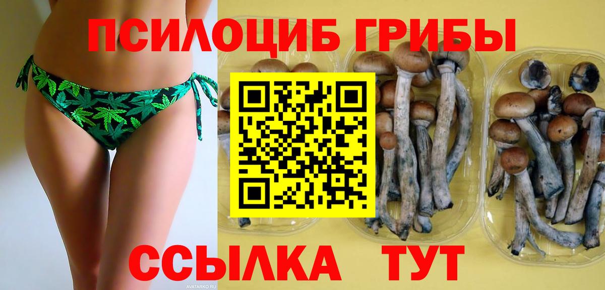Псилоцибиновые грибы GOLDEN TEACHER  Галлюциногенные грибы ЛСД  Вход с VPN  Кострома 
