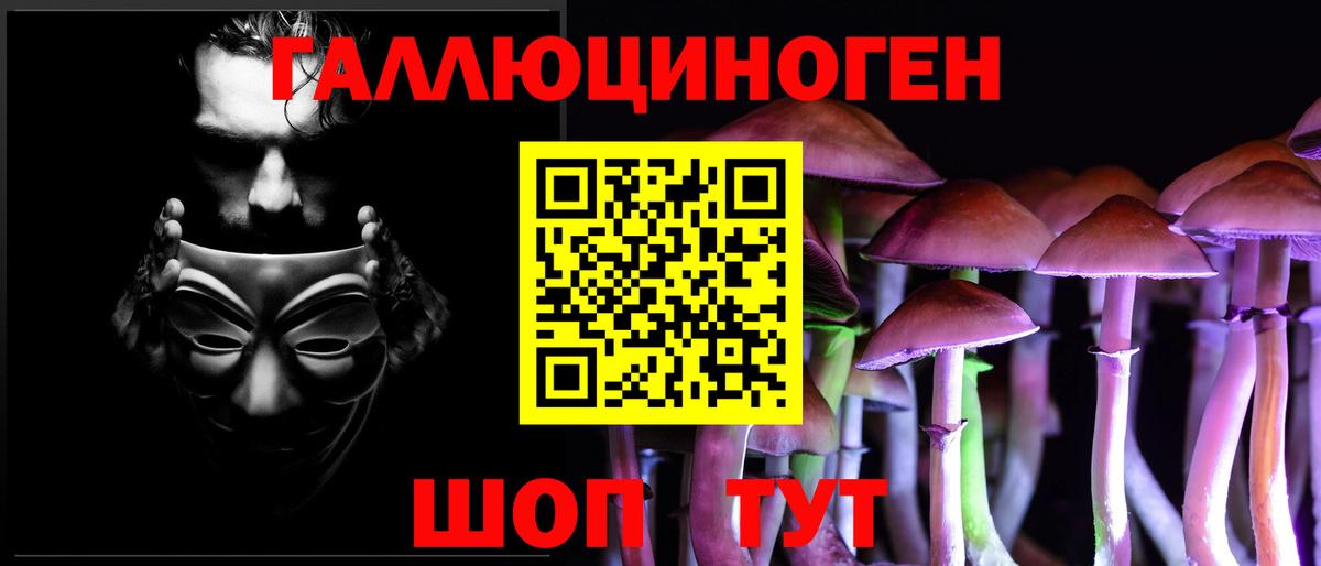 Галлюциногенные грибы Psilocybine cubensis Кострома